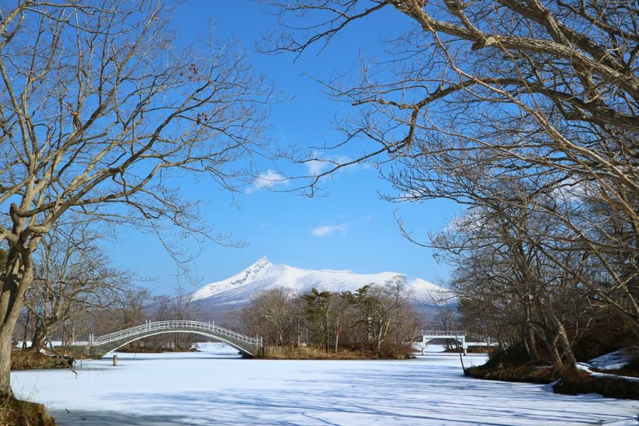 Stroll Through Onuma Park