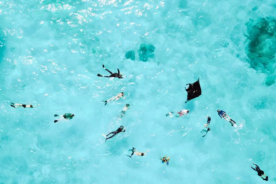 Swim in crystal clear lagoons in the Maldives