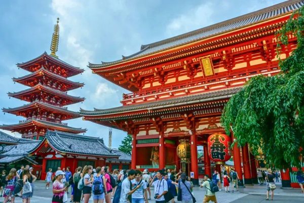 Tokyo Heritage & Modern Icons Experience