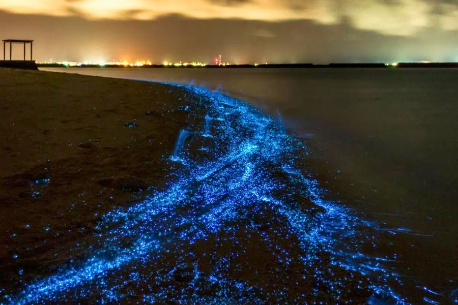 Watch the evening light over the Indian Ocean in the Maldives