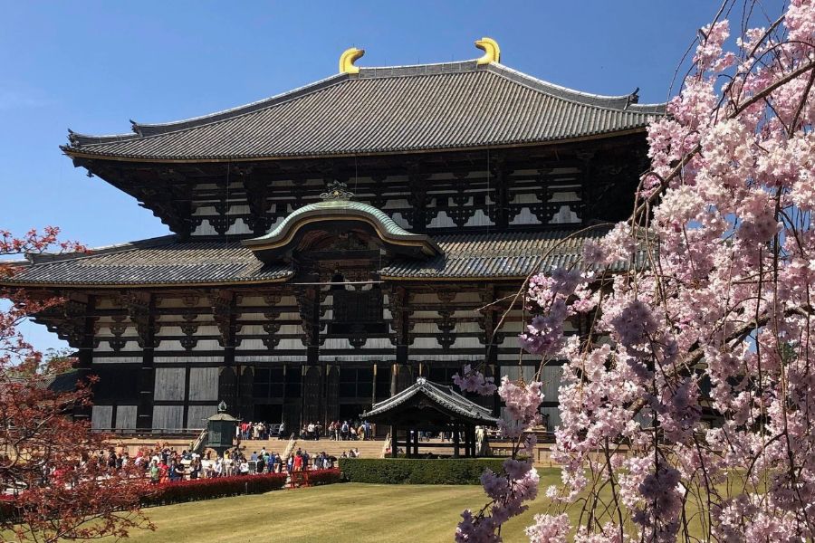 Best highlights in Nara with Todai ji Temple