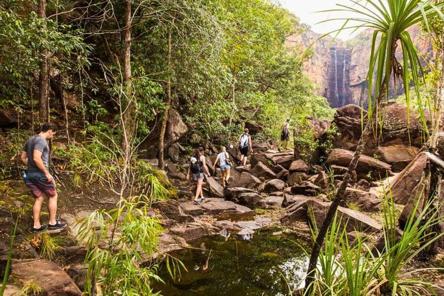Darwin in wet season