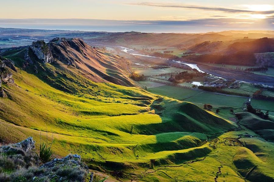 Hawke’s Bay New Zealand vineyards