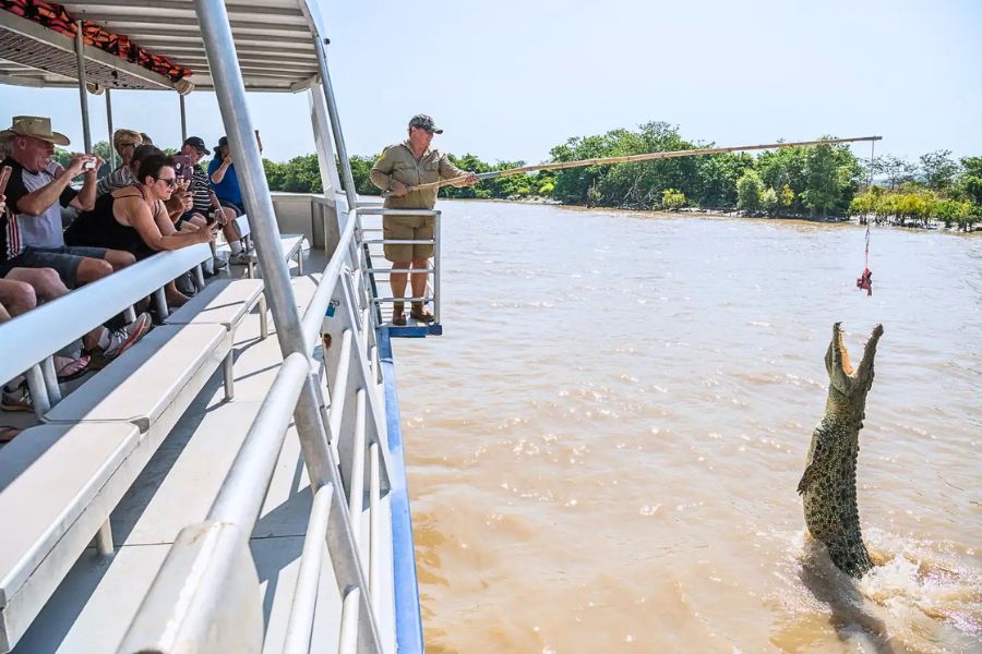 Jumping Crocodile Cruise Adelaide River in Darwin