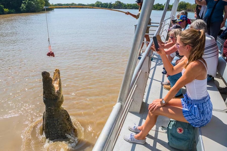 Jumping Crocodile Cruise Tour on the Adelaide River
