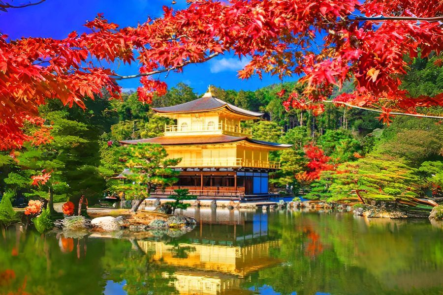 Kinkakuji Temple surrounded by vivid autumn foliage in Kyoto