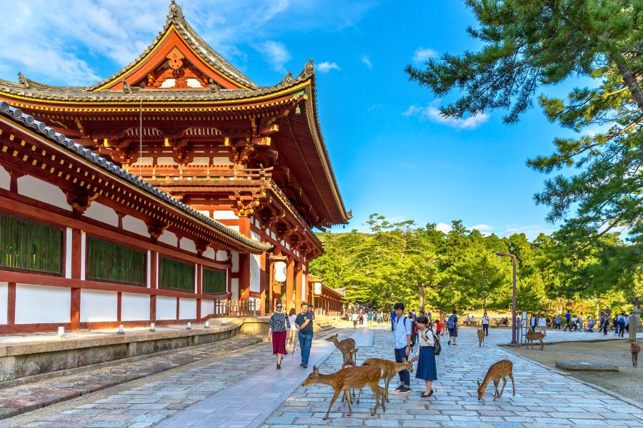 Nara from Kobe Port