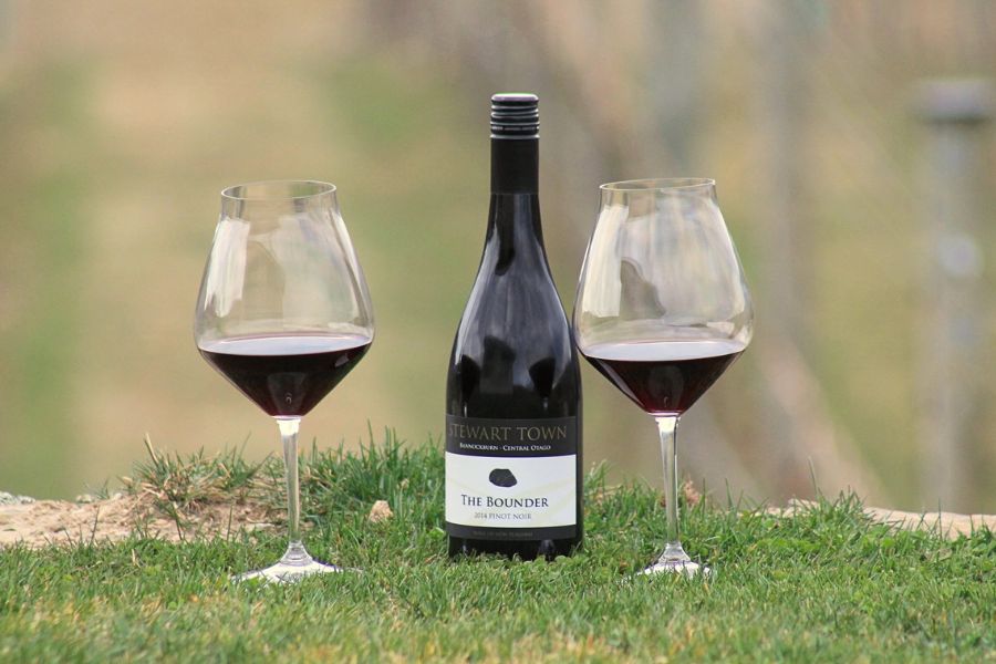 New Zealand wine tasting