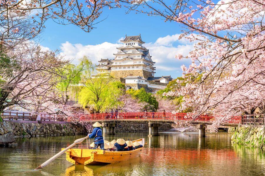 Osaka Castle framed by cherry blossoms in spring