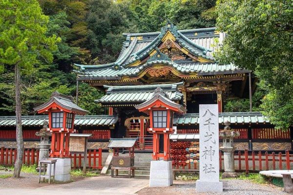 Shizuoka Heritage and Scenery Tour