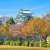 Taste of Nagoya on a private shore excursions
