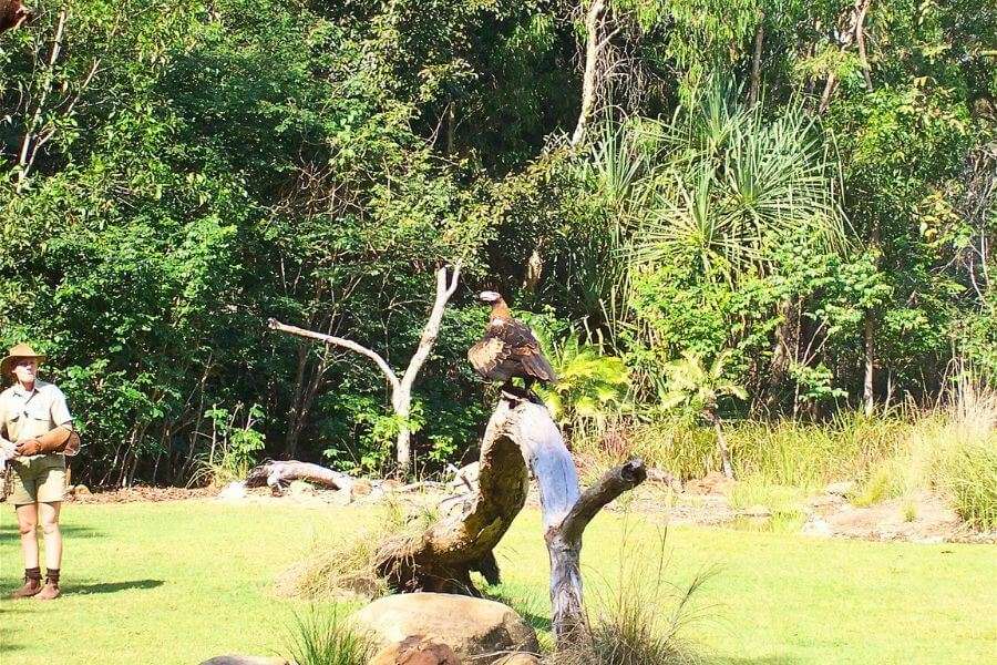 Territory Wildlife Park in Darwin