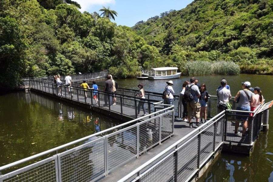 Visitors walking through Zealandia sanctuary
