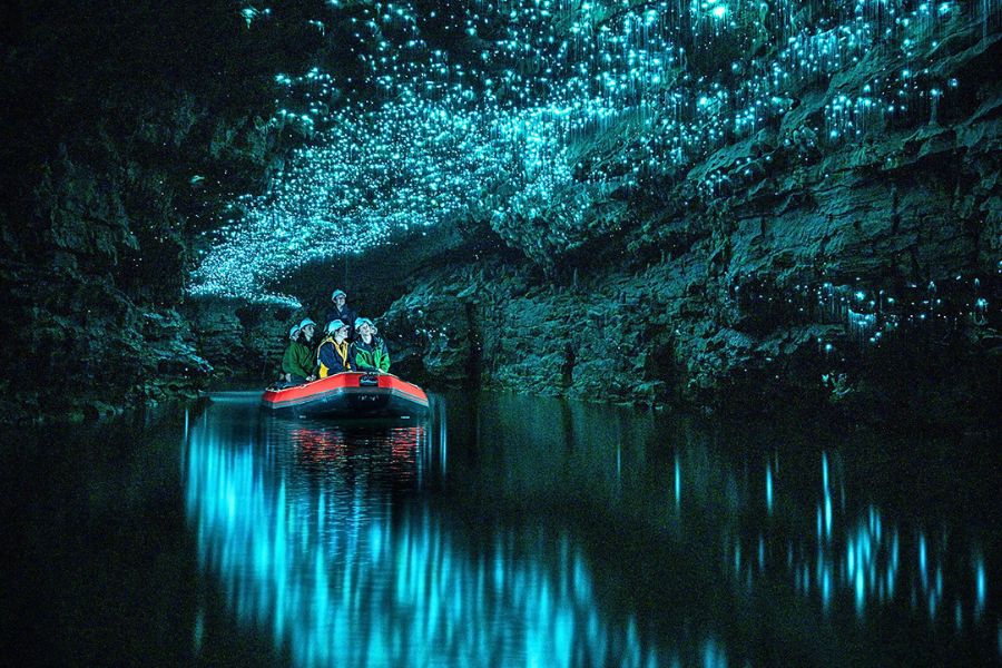 Waitomo Glowworm Caves New Zealand