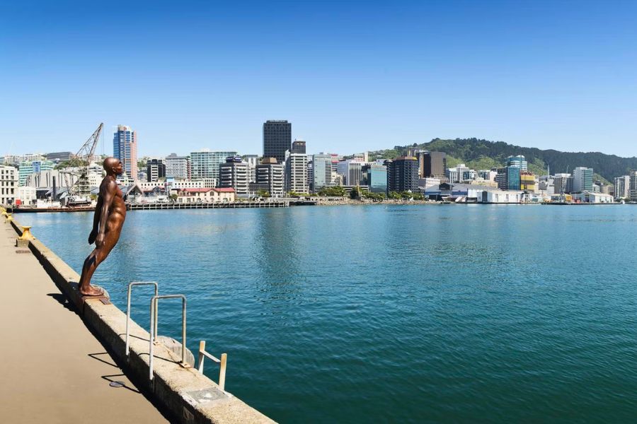 Wellington waterfront and harbour views