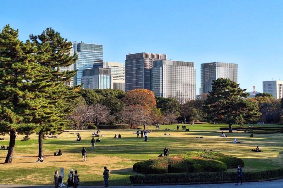 Imperial Palace East Gardens in Tokyo for a Yokohama port day trip