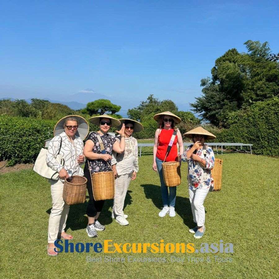 Royal Princess shore excursions in Shimizu Japan