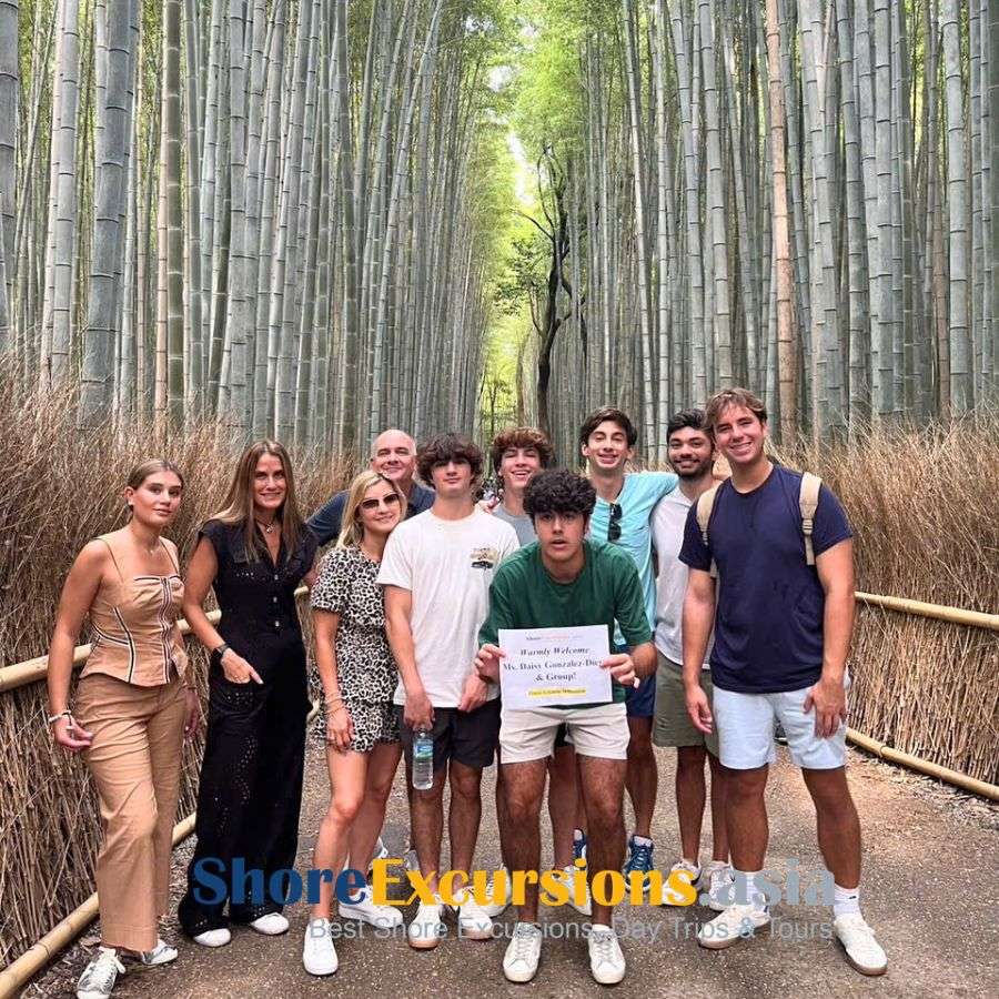 Royal Princess shore excursions to Kyoto bamboo forest