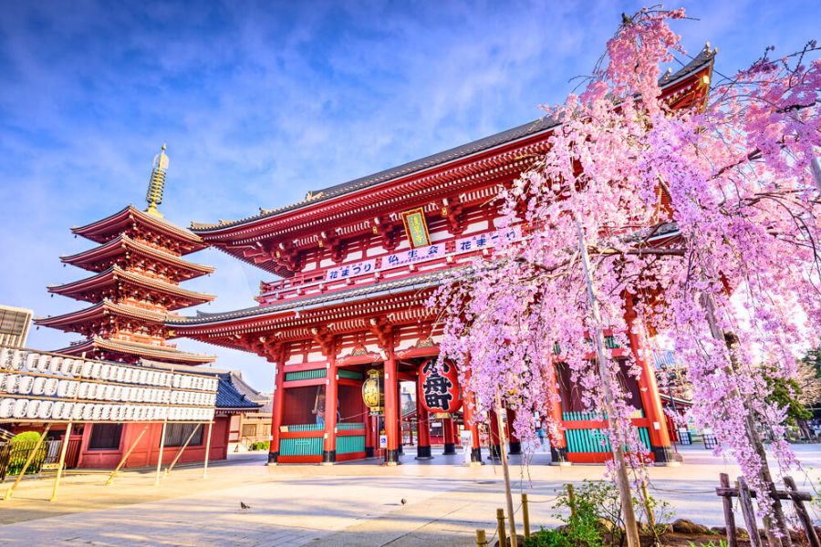Senso-ji Temple in Tokyo during a day trip from Yokohama Cruise Port