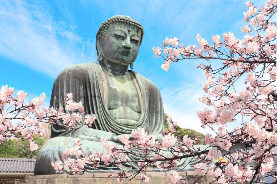 The Great Buddha of Kamakura surrounded by cherry blossoms