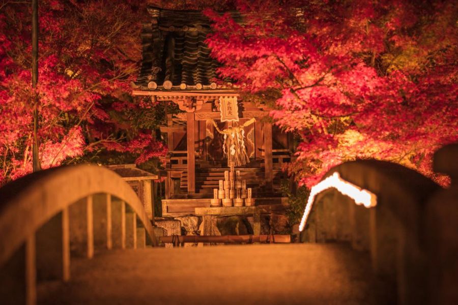 Autumn Illumination events in Japan in November