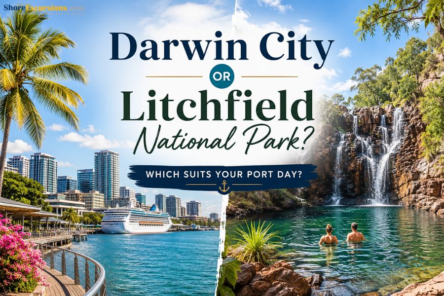 Darwin City or Litchfield National Park - Which Suits Your Port Day