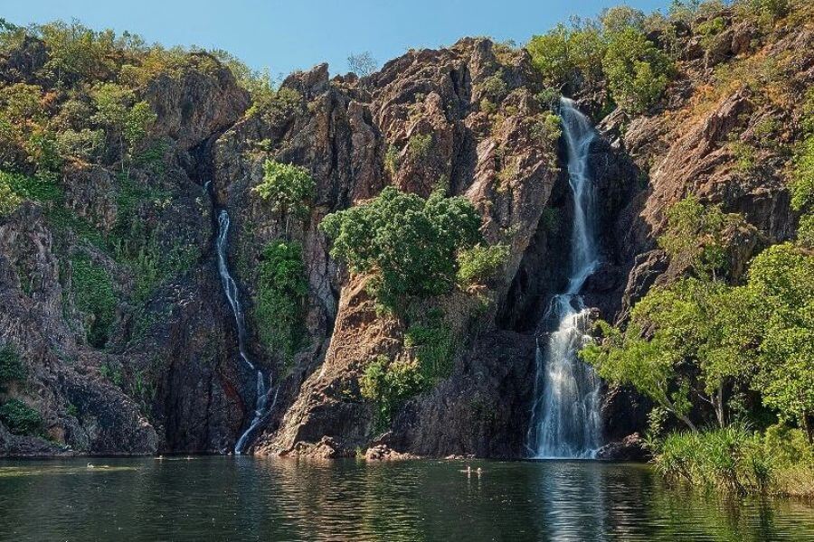 Darwin City or Litchfield National Park for cruise passengers