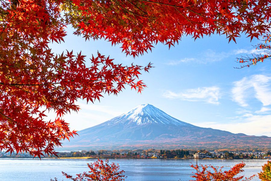 Enjoy Mount Fuji Views from Shimizu