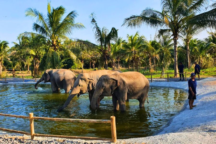 Khao Kheow Open Zoo