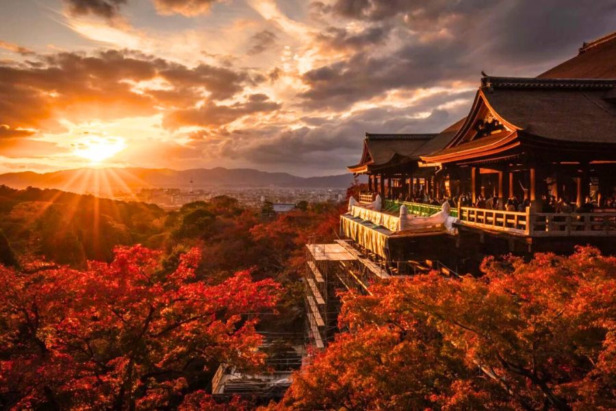 Kyoto and Kobe Weather in November