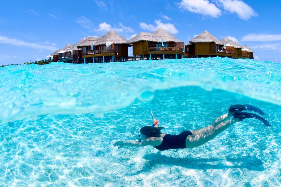 Snorkeling in a clear Maldives resort lagoon