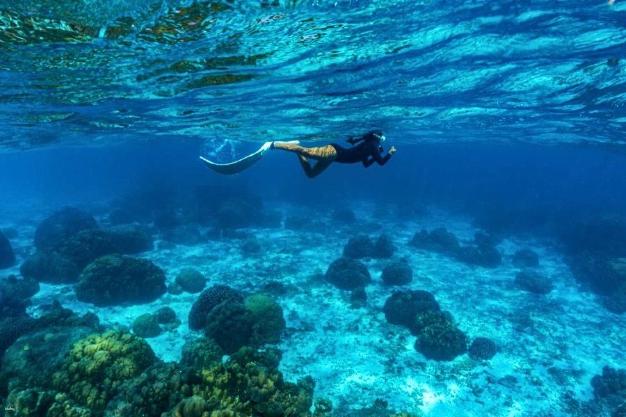 Snorkeling near Racha and Coral Islands