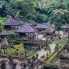 Ubud Cultural and Nature Tour