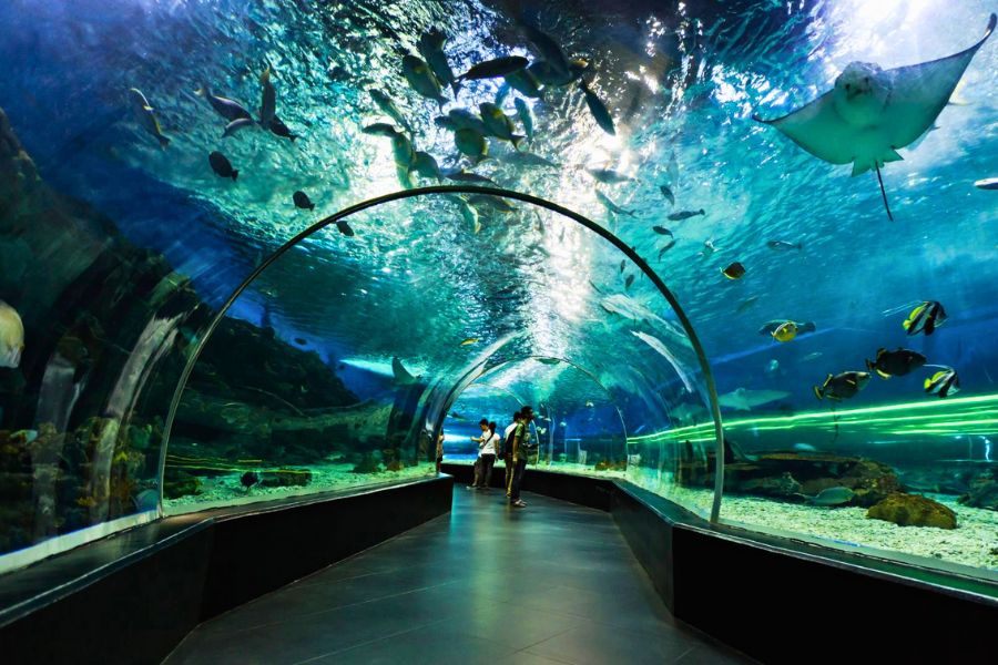 Underwater World Pattaya tunnel