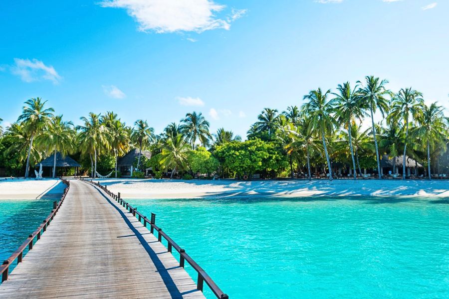 Wooden jetty leading to a Maldives resort island