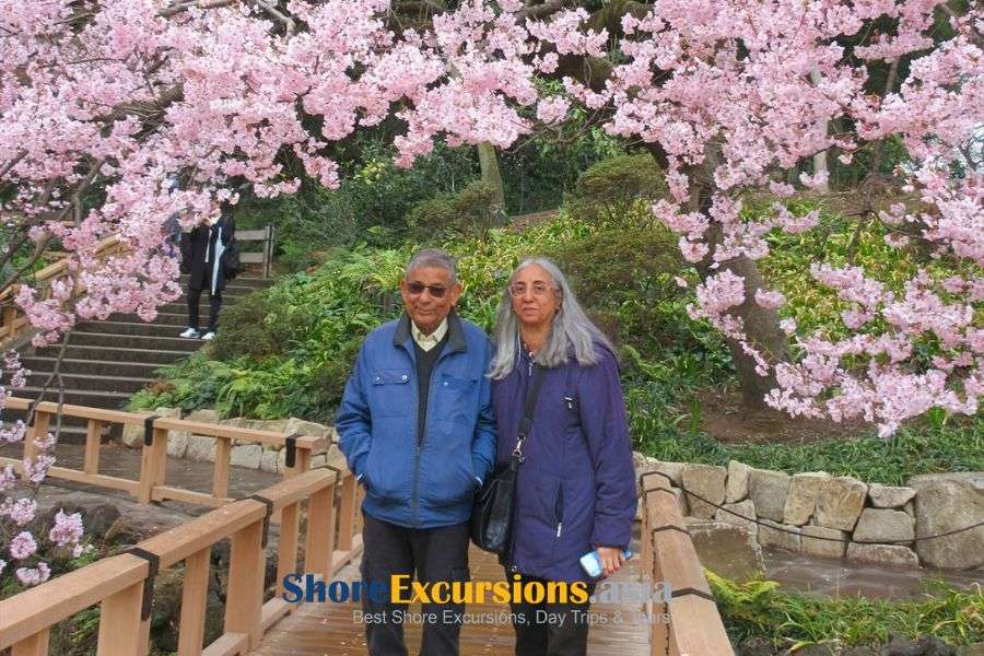 Guests sightseeing during a pre cruise city extension