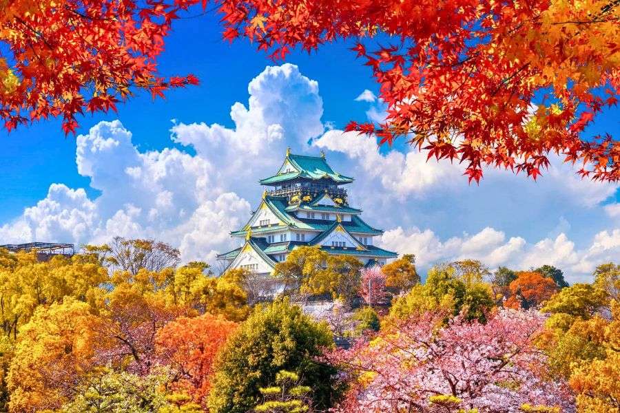 Japan castle in autumn foliage