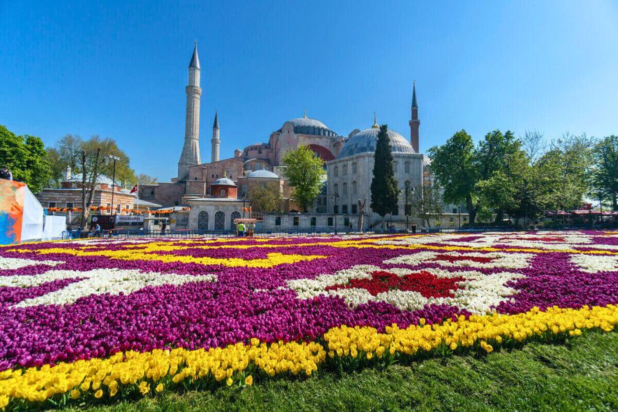 Tulip garden in Istanbul