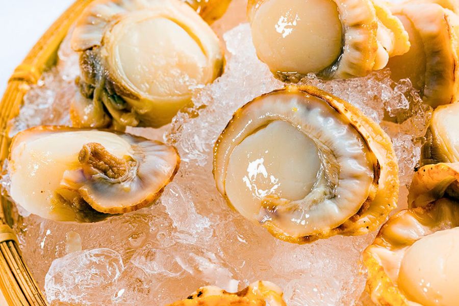 Aomori scallops