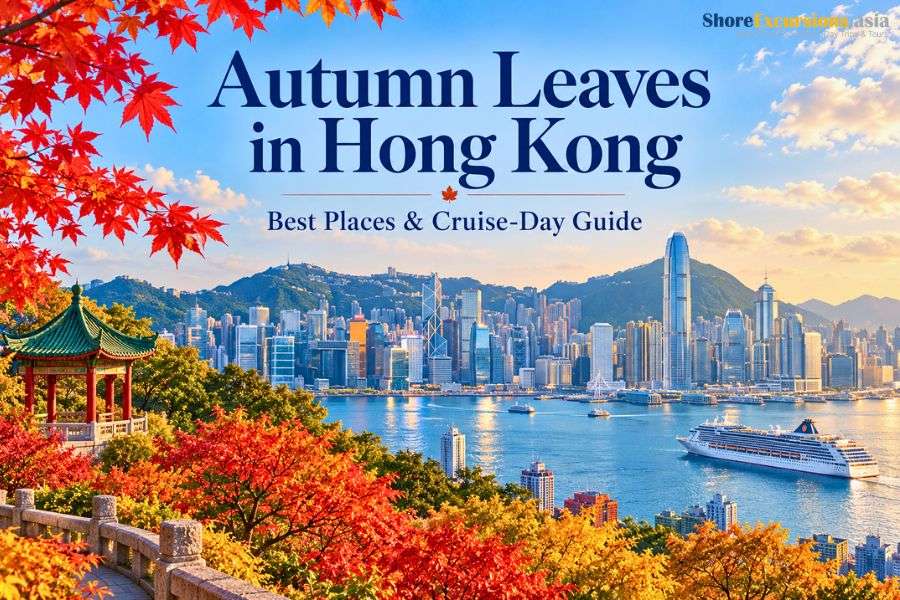Autumn Leaves in Hong Kong - Best Places & Cruise-Day Guide