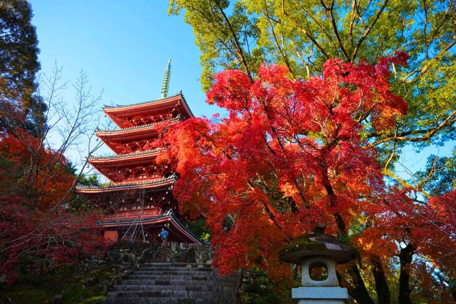 Chikurin-ji Temple in Kochi