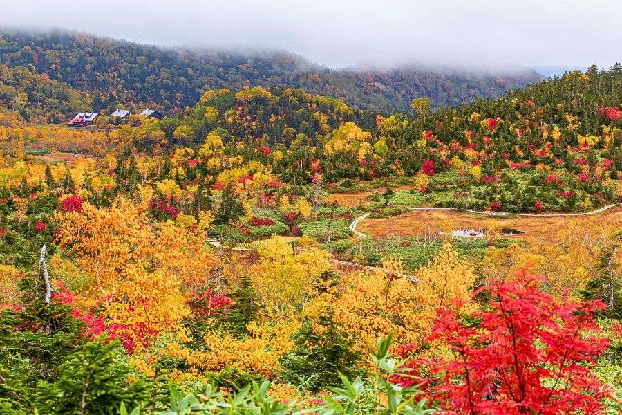Early autumn foliage Japan