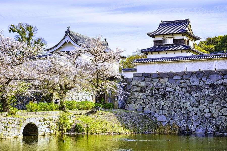 Fukuoka Castle spring