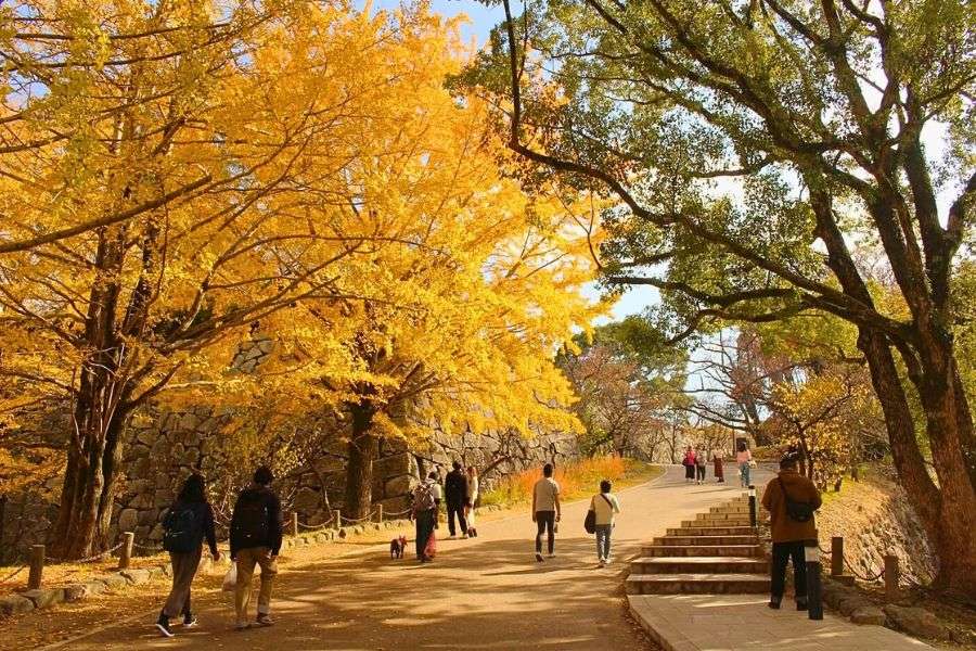 Fukuoka autumn scenery