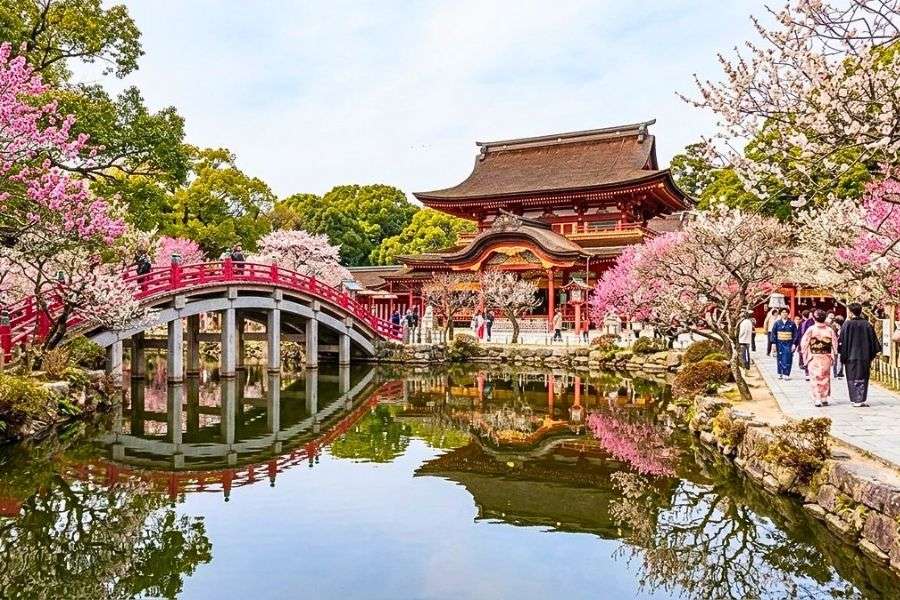 Fukuoka spring scenery