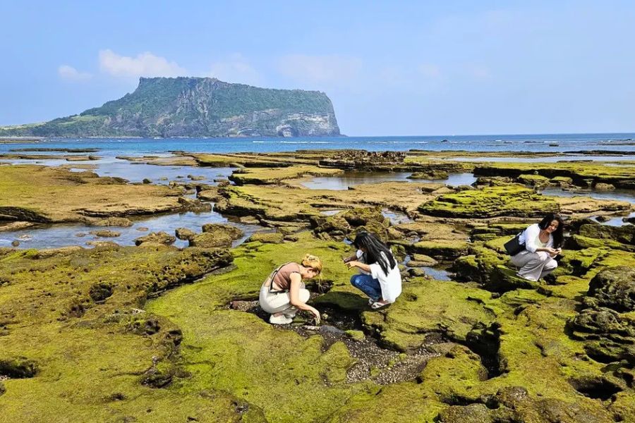 Gwangchigi Beach volcanic shoreline Jeju