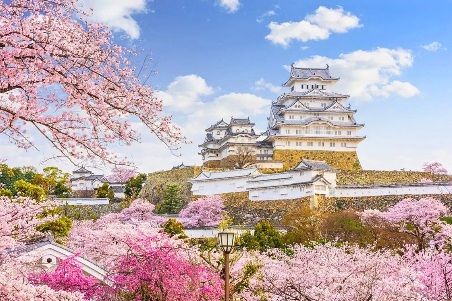 Himeji Castle in spring