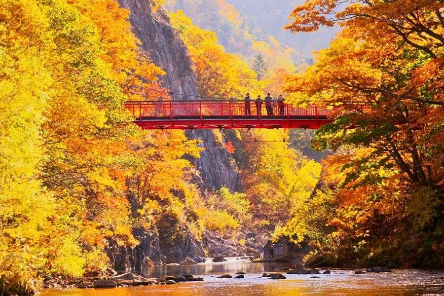 Hokkaido autumn foliage