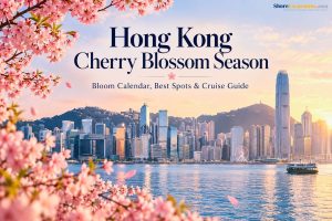 Hong Kong Cherry Blossom Season - Bloom Calendar, Best Spots & Cruise Guide