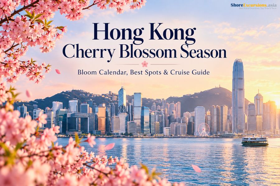Hong Kong Cherry Blossom Season - Bloom Calendar, Best Spots & Cruise Guide